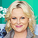 Amy Poehler - Transformation - Hair - Celebrity Before and After