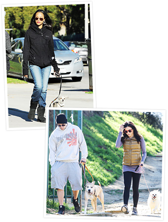 Zoe Saldana, Channing Tatum, Jenna Dewan-Tatum