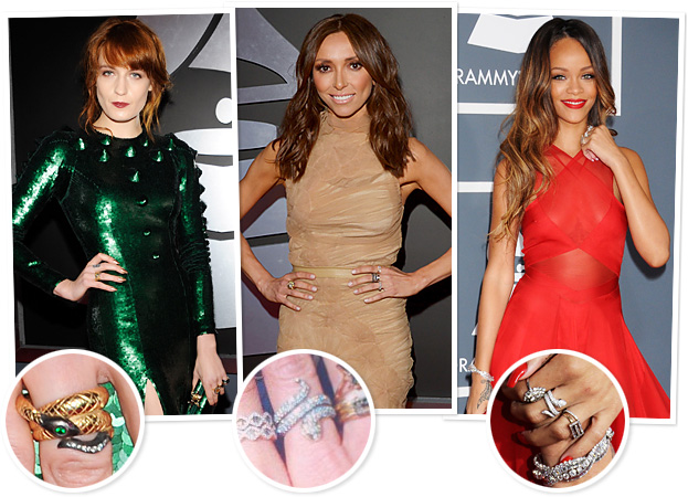 snakes grammys accessories