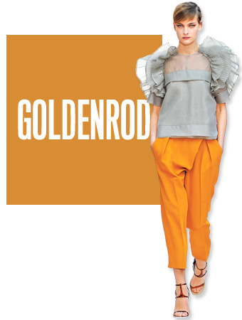 Goldenrod Color of the Day
