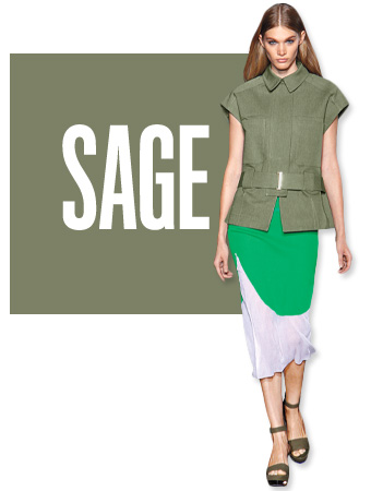 Sage Color of the Day