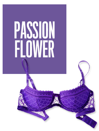 Passion Flower Color of the Day