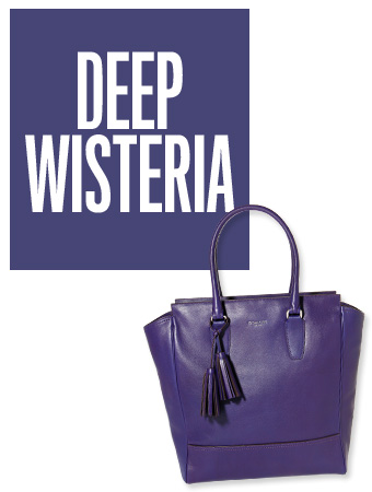 Deep Wysteria Color of the Day