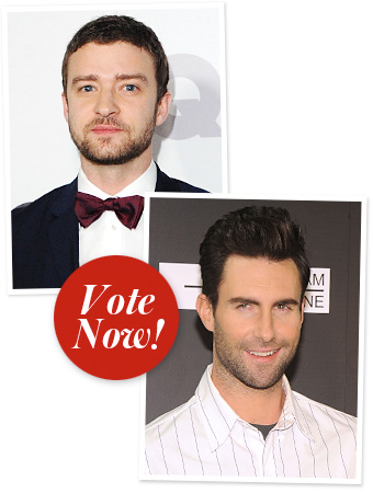 Justin Timberlake, Adam Levine