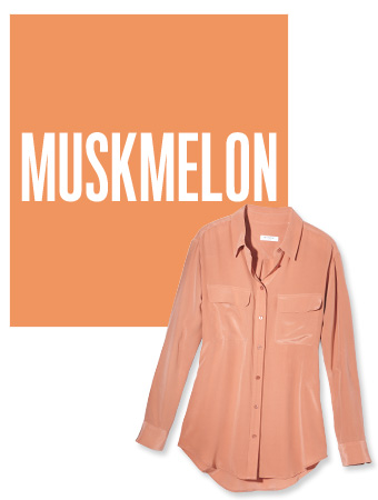 Color of the Day