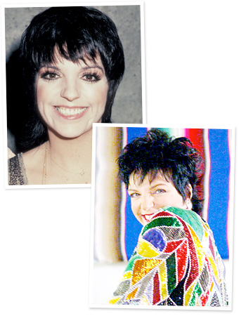 Liza Minnelli - Arrested Development