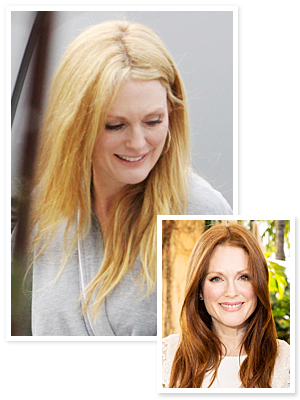 Julianne Moore Blonde Hair