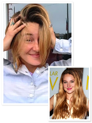 Shailene Woodley Haircut