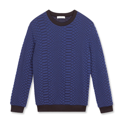 Sandro sweatshirt