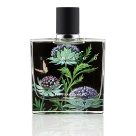 holiday fragrances