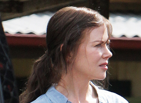 Nicole Kidman Brunette