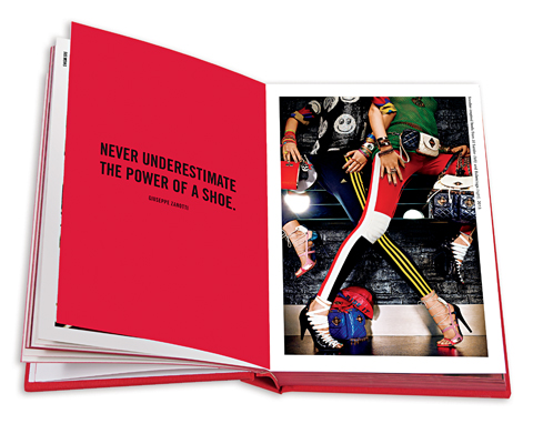 The Shoe Book