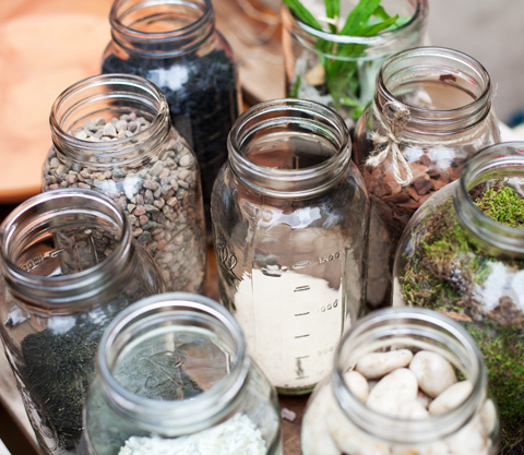 How to Make Your Own Terrarium