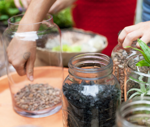 How to Make Your Own Terrarium