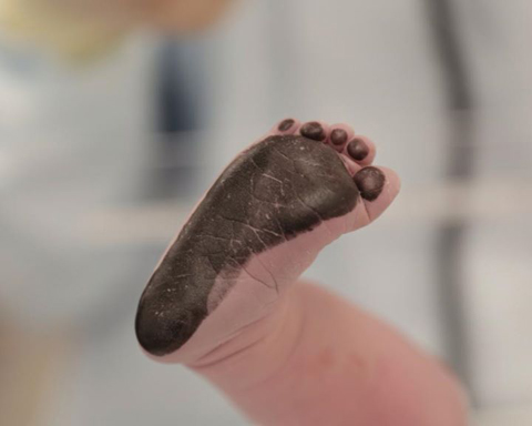 Savannah Guthrie daughter Vale Guthrie Feldman foot