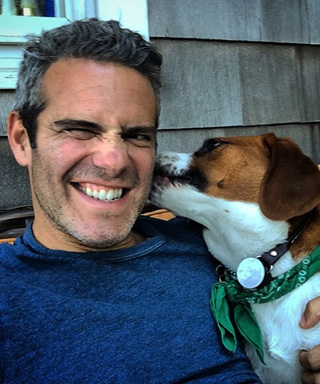 Andy Cohen's Dog Watcha