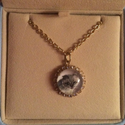 Pendant necklace featuring Taylor Swift s cat