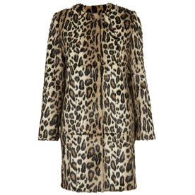 Statement Coats - Shopping Module