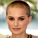   2005 Cannes Film Festival