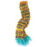 Wool-polyamide scarf with ostrich feathers, Lala.