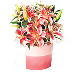 Oriental Pink lilies (City of Hope receives 10 percent from each sale), Red Envelope.