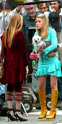 BITING THE BIG APPLE photo | Ashley Olsen, Mary-Kate Olsen