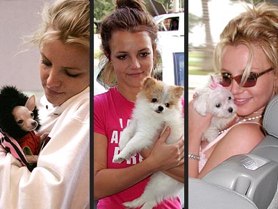 PRACTICE MAKES PERFECT photo | Britney Spears