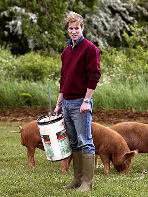 HOG HEAVEN photo | Prince William