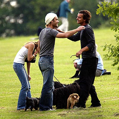 NEIGHBORHOOD STARS photo | Gavin Rossdale, Jude Law
