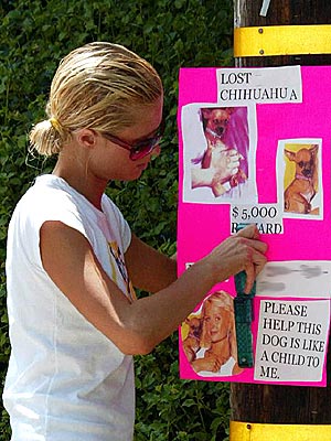 MISSION: TINKERBELL  photo | Paris Hilton