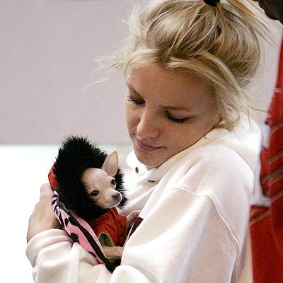 LUCKIEST PUP photo | Britney Spears