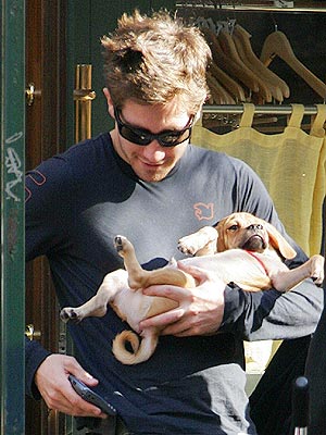 7. HIS ANIMAL LOVE photo | Jake Gyllenhaal