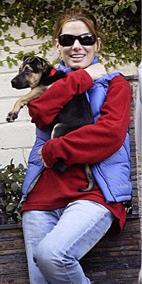 A DOG'S LIFE photo | Sandra Bullock