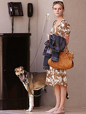 DOG DAY photo | Kate Bosworth
