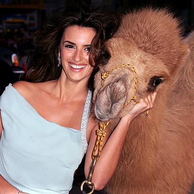 DESERT PALS photo | Penélope Cruz