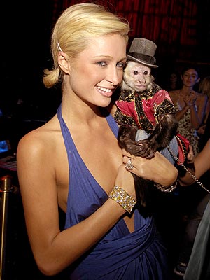 CHEEKY MONKEY photo | Paris Hilton