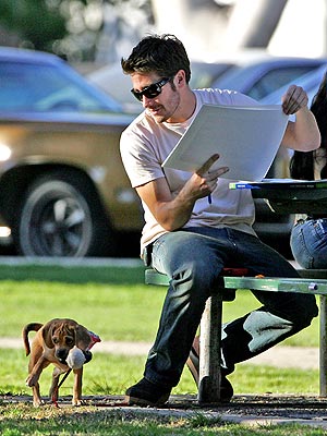 A FETCHING CATCH photo | Jake Gyllenhaal