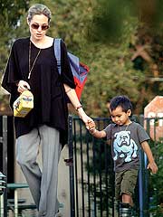 A Baby for Brad & Angelina| Pregnancy, Angelina Jolie, Brad Pitt