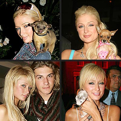 PARIS HILTON'S CUTEST PET photo | Paris Hilton