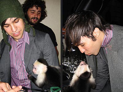 MONKEYING AROUND photo | Fall Out Boy, Pete Wentz