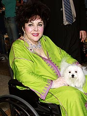 Liz Taylor Refutes Alzheimer's Reports | Elizabeth Taylor