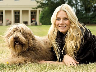 How Gwyneth Paltrow Lost Her Baby Weight | Gwyneth Paltrow