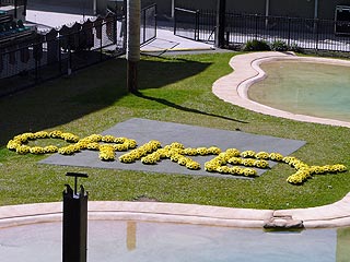 Family, Stars Pay Tribute to Steve Irwin| Death, Steve Irwin