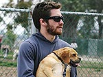 Sexy Stars and Their Sidekicks! | Jake Gyllenhaal