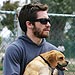 Sexy Stars and Their Sidekicks! | Jake Gyllenhaal