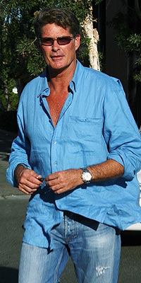 DAVID HASSELHOFF photo | David Hasselhoff