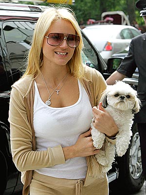 DOG DAY photo | Jewel