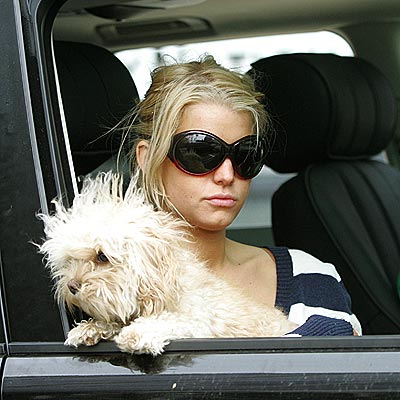 GIRL'S BEST FRIEND photo | Jessica Simpson