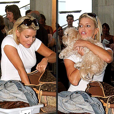 SECURITY BLANKET photo | Jessica Simpson