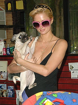 BUT WHO'S HER DAWG? photo | Paris Hilton